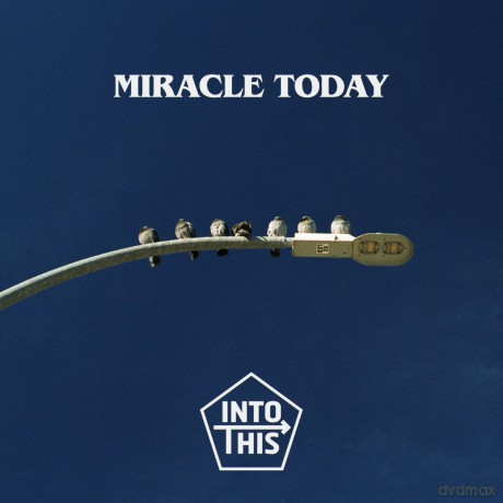 Into This: Miracle Today [CD]