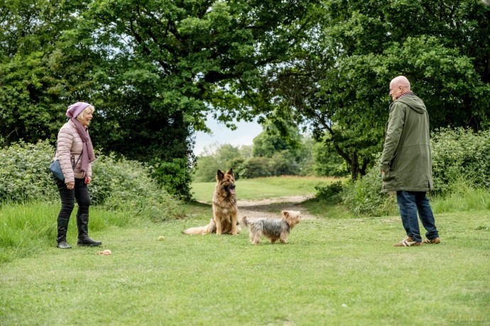 Mit Herz Und Hund [DVD]