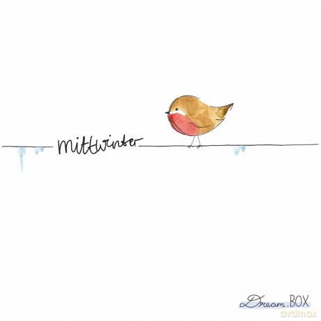 Dream.Box: Mittwinter [CD]
