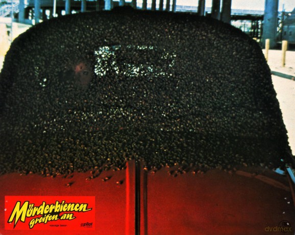 Moerderbienen Greifen An (The Savage Bee [DVD]