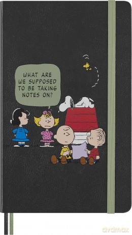 Moleskine: MOLESKINE Notizbuch Peanuts Gruppe ca. A