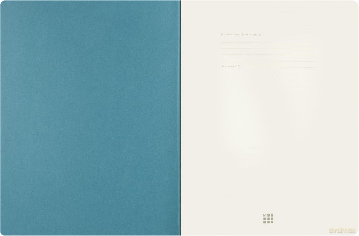 Moleskine: MOLESKINE Notizbuch Peanuts Linus Cahier