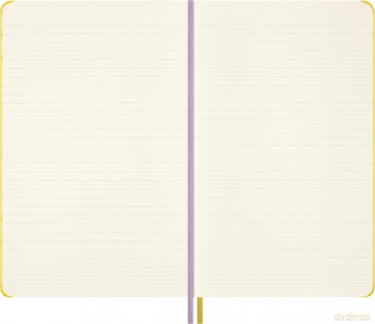 Moleskine: MOLESKINE Notizbuch Peanuts Paddy ca. A5