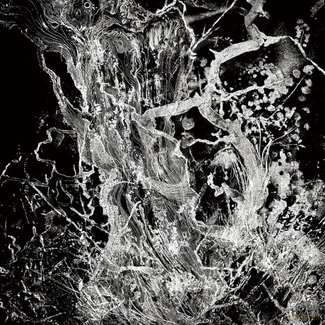 Bruit: Monolith Ep (The Fall Clear Vinyl Ed.) [Winyl]