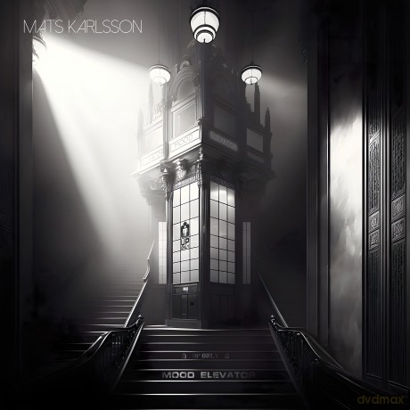 Karlsson Mats: Mood Elevator (Vinyl LP) [Winyl]