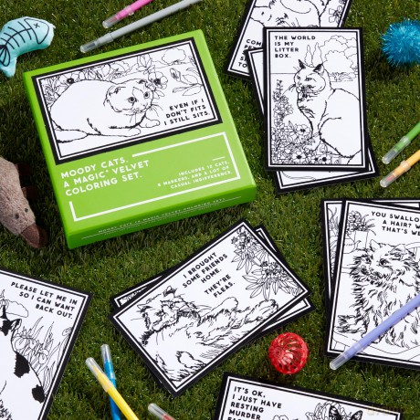 Moody Cats Magic Velvet Coloring Set [KSIĄŻKA]