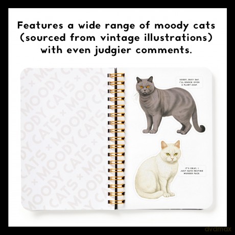Moody Cats Sticker Book [KSIĄŻKA]