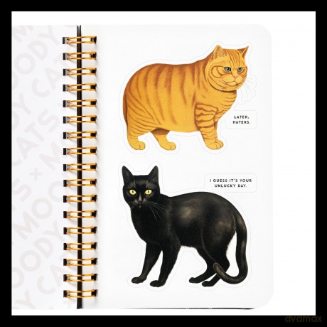 Moody Cats Sticker Book [KSIĄŻKA]