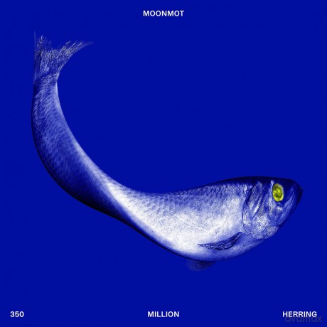 Moonmot-350 Million Herring: Moonmot-350 Million Herring [CD]