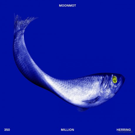 Moonmot-350 Million Herring: Moonmot-350 Million Herring [Winyl]