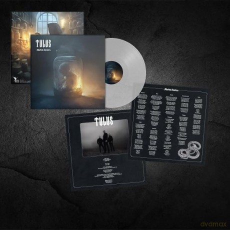 Tulus: Morbid Desires (Ultra Clear Vinyl LP) [Winyl]