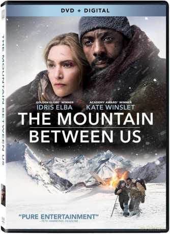 Mountain Between Us [DVD]