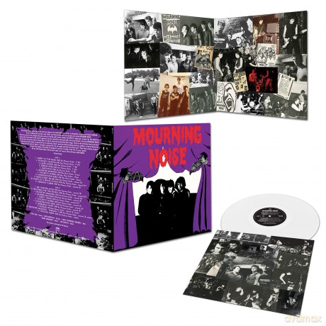 Mourning Noise-Mourning Noise: Mourning Noise-Mourning Noise [Winyl]