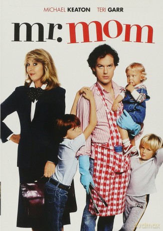 Mr Mom [DVD]
