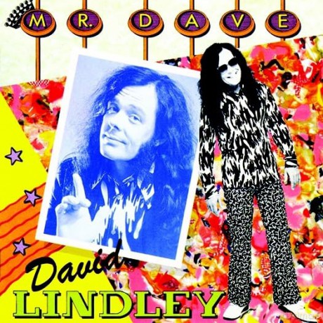 Lindley,David: Mr. Dave [CD]