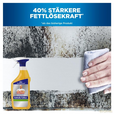 MR. PROPER Professional Kraftvoller Fett
