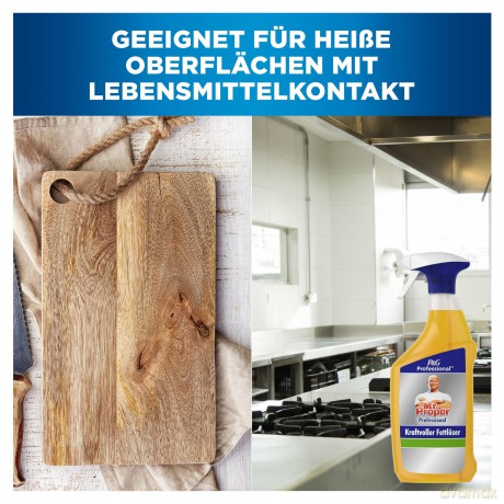 MR. PROPER Professional Kraftvoller Fett
