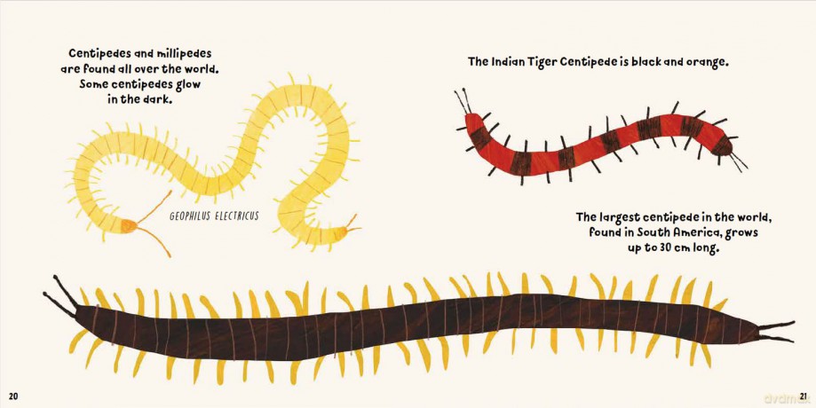 Mucky Minibeasts Centipedes and Millipedes [KSIĄŻKA]