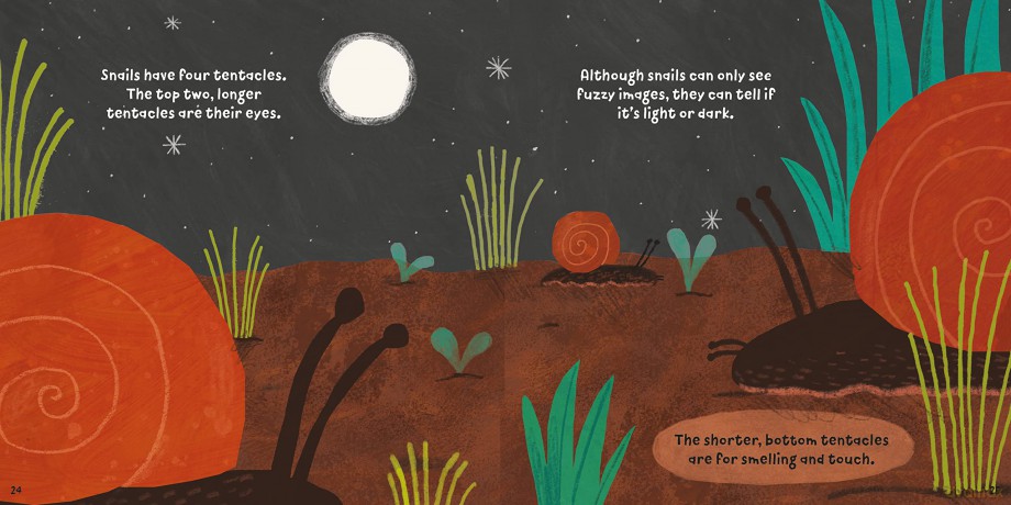 Mucky Minibeasts Snails [KSIĄŻKA]