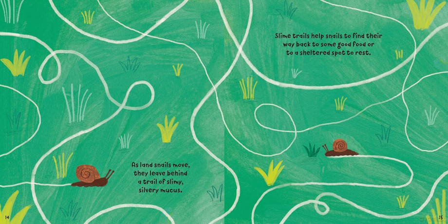 Mucky Minibeasts Snails [KSIĄŻKA]