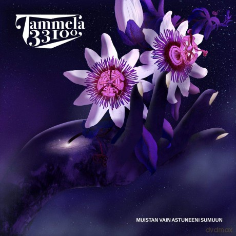 Tammela 33100: Muistan Vain Astuneeni Sumuun [CD]