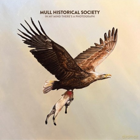 Mull Historical Society-In My Mind There's A Photograph: Mull Historical Society-In My Mind There's A Photograph [Winyl]