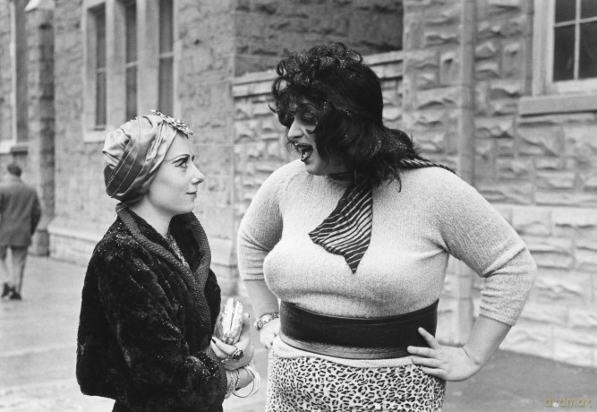 Multiple Maniacs [DVD]