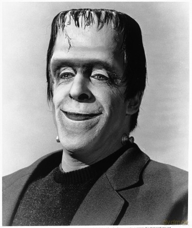 Munsters: The Complete Series [12DVD]