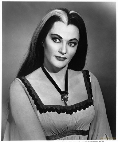 Munsters: The Complete Series [12DVD]