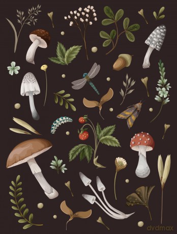 Mushroom Lined Journal [KSIĄŻKA]