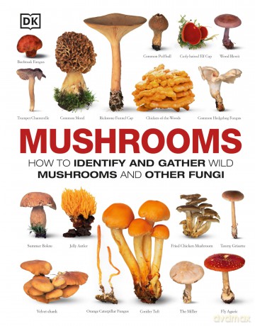 Mushrooms [KSIĄŻKA]