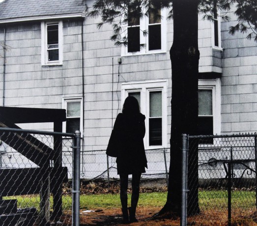The Tallest Man on Earth: Dark Bird is Home [CD]