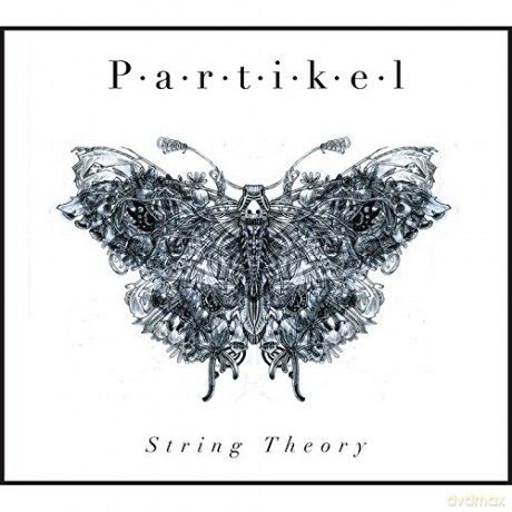 Partikel: String Theory [CD]