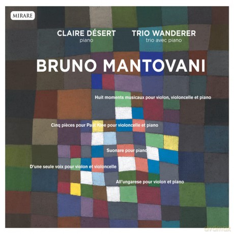Desert Trio Wanderer: Musique De Chambre [CD]
