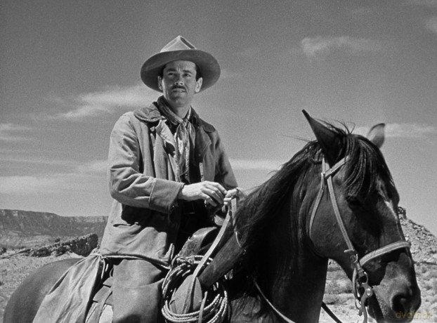 My Darling Clementine [Blu-Ray]
