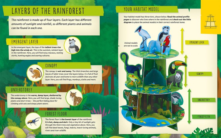 My Incredible Rainforest Expediti [KSIĄŻKA]
