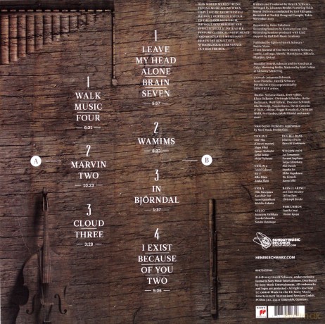 Henrik Schwarz: Instruments [Winyl]