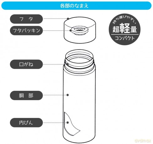 MY NEIGHBOR TOTORO - Forest Stroll - The