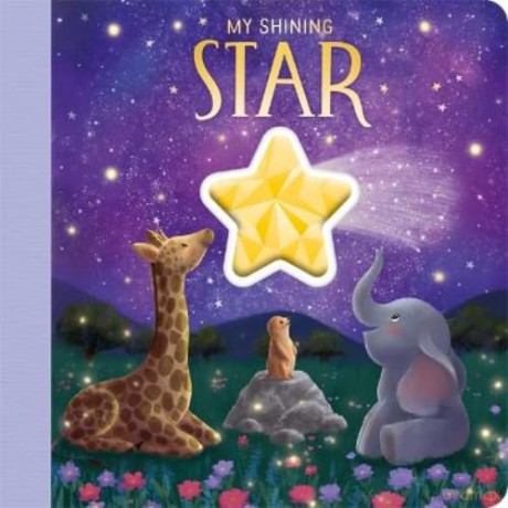 My Shining Star [KSIĄŻKA]