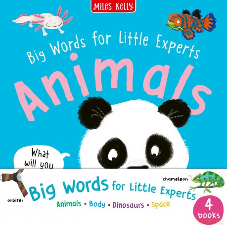 N16pb Bw Little Experts 4 Pack [KSIĄŻKA]