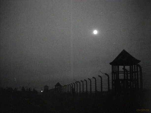 Nacht Und Nebel (Neuauflage) [DVD]