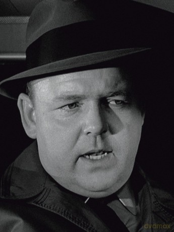 Naked City: Fan Favorites [5DVD]