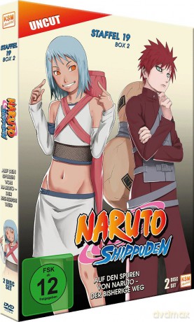 Naruto Shippuden - Auf den Spuren von Naruto - Der bisherige Weg - Staffel 19.2: Episode 624-633 (2 [2DVD]