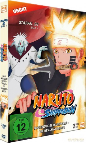 Naruto Shippuden - Das endlose Tsukuyomi - Die Beschwörung - Staffel 20.1: Episode 634-641 [2DVD]