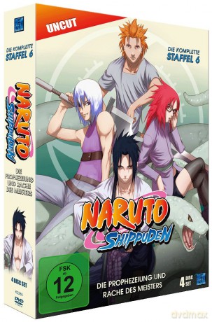 Naruto Shippuden - Die Prophezeiung und Rache des Meisters - Staffel 06: Folge 333-363 (4 DVDs) [4DVD]