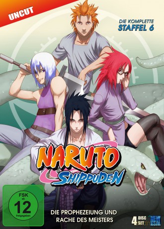 Naruto Shippuden - Die Prophezeiung und Rache des Meisters - Staffel 06: Folge 333-363 (4 DVDs) [4DVD]