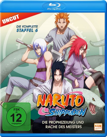 Naruto Shippuden - Die Prophezeiung und Rache des Meisters - Staffel 06: Folge 333-363 [Blu-Ray]