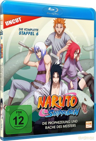 Naruto Shippuden - Die Prophezeiung und Rache des Meisters - Staffel 06: Folge 333-363 [Blu-Ray]