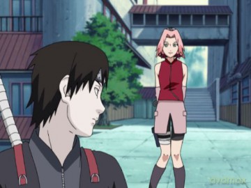 Naruto Shippuden - Die Suche nach Sasuke - Staffel 02: Folge 253-273 [Blu-Ray]