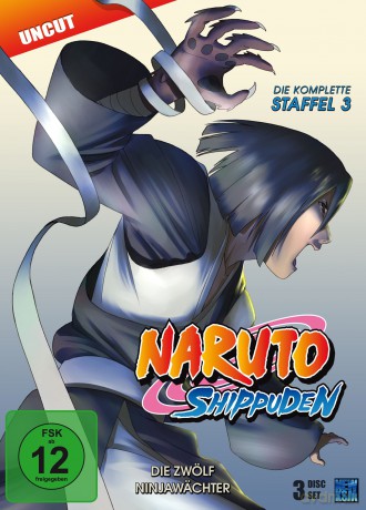 Naruto Shippuden - Die zwölf Ninjawächter - Staffel 03: Folge 274-291 [3DVD]